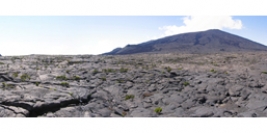 La Réunion - Trek à Grand Spectacle