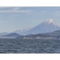 Pano_27352_27359